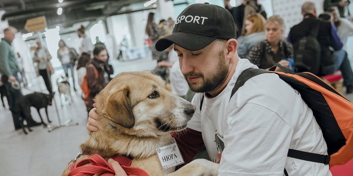 Изображение https://www.mos.ru/