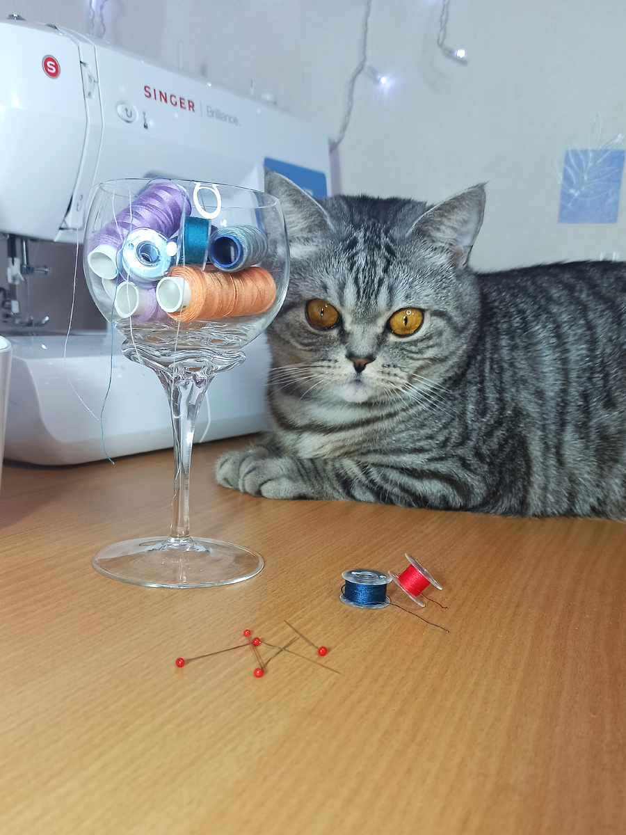 Намекает, что пора пойти пошить