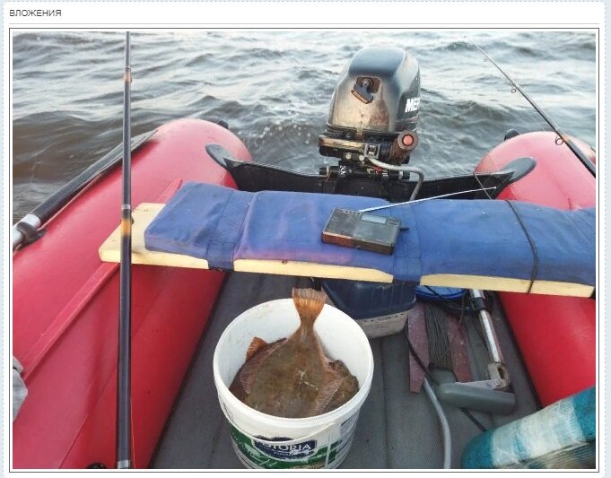 Камбала, фото улова стырил с сайта "Санататур" раздел Яндова Губа