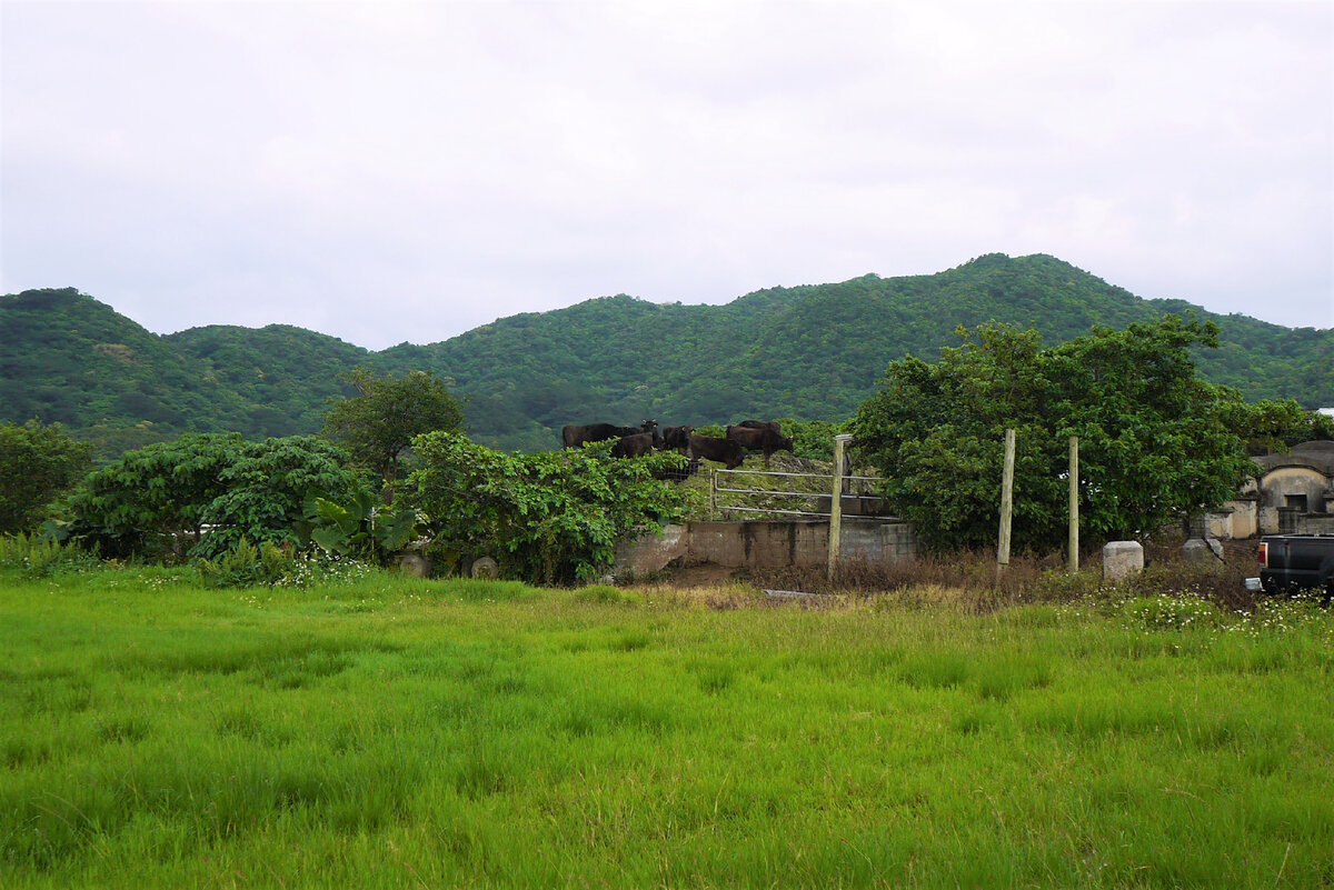 На острове Ishigaki