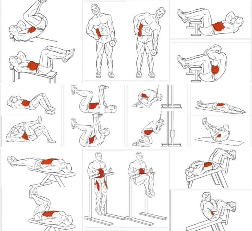 Упражнения на пресс. Упражнения дляп пресса. Комплексупраднений на пресс. Упражнения на мышцы пресса.