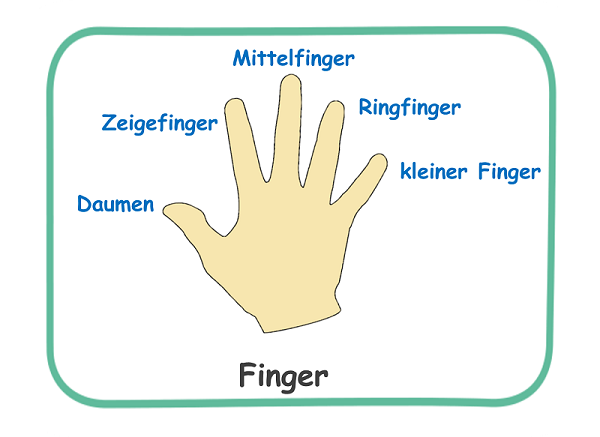 Die Finger