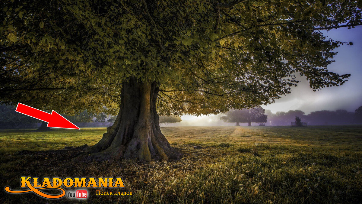 Где искать клад?