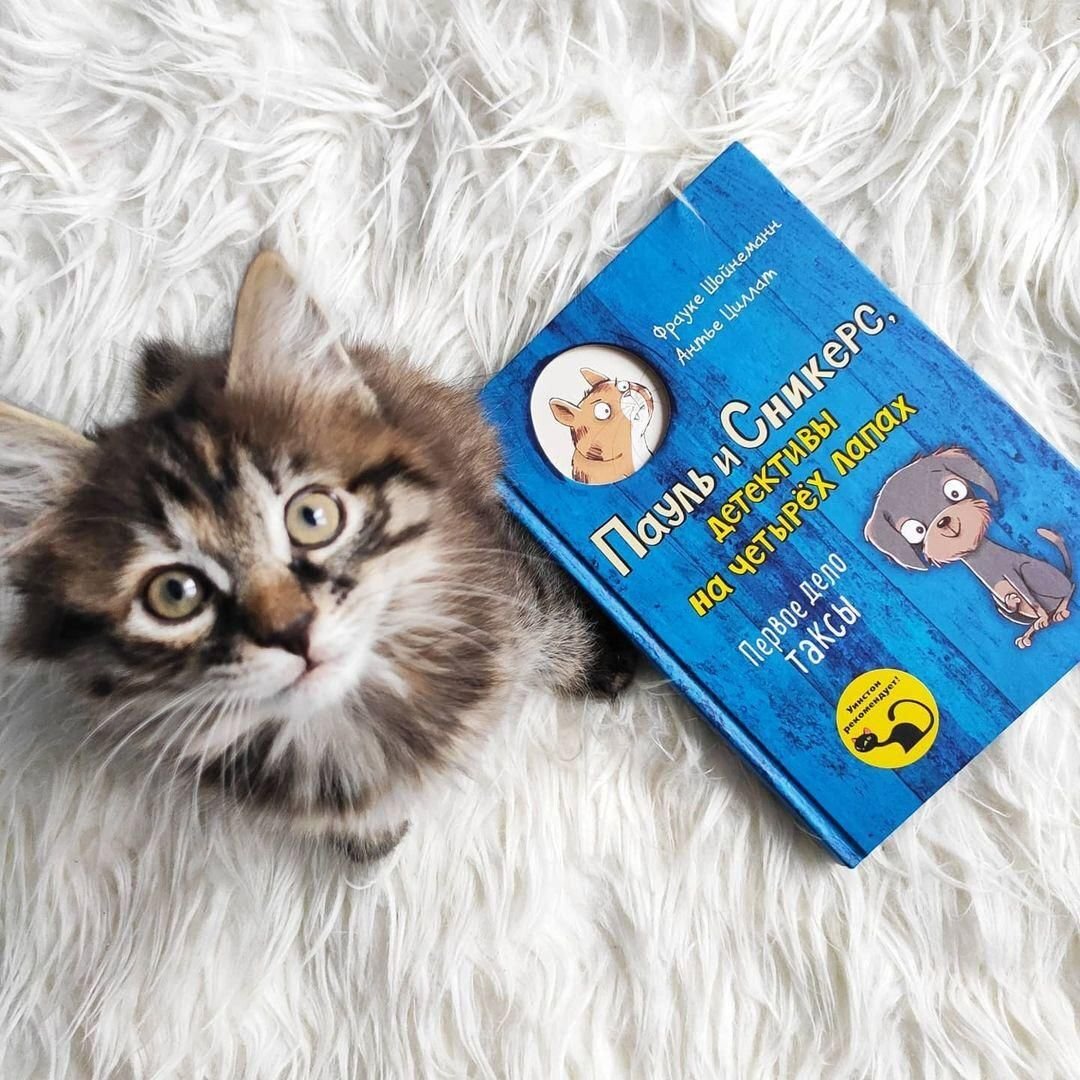 Фрауке Шойнеманн и Антье Циллат «Первое дело таксы»