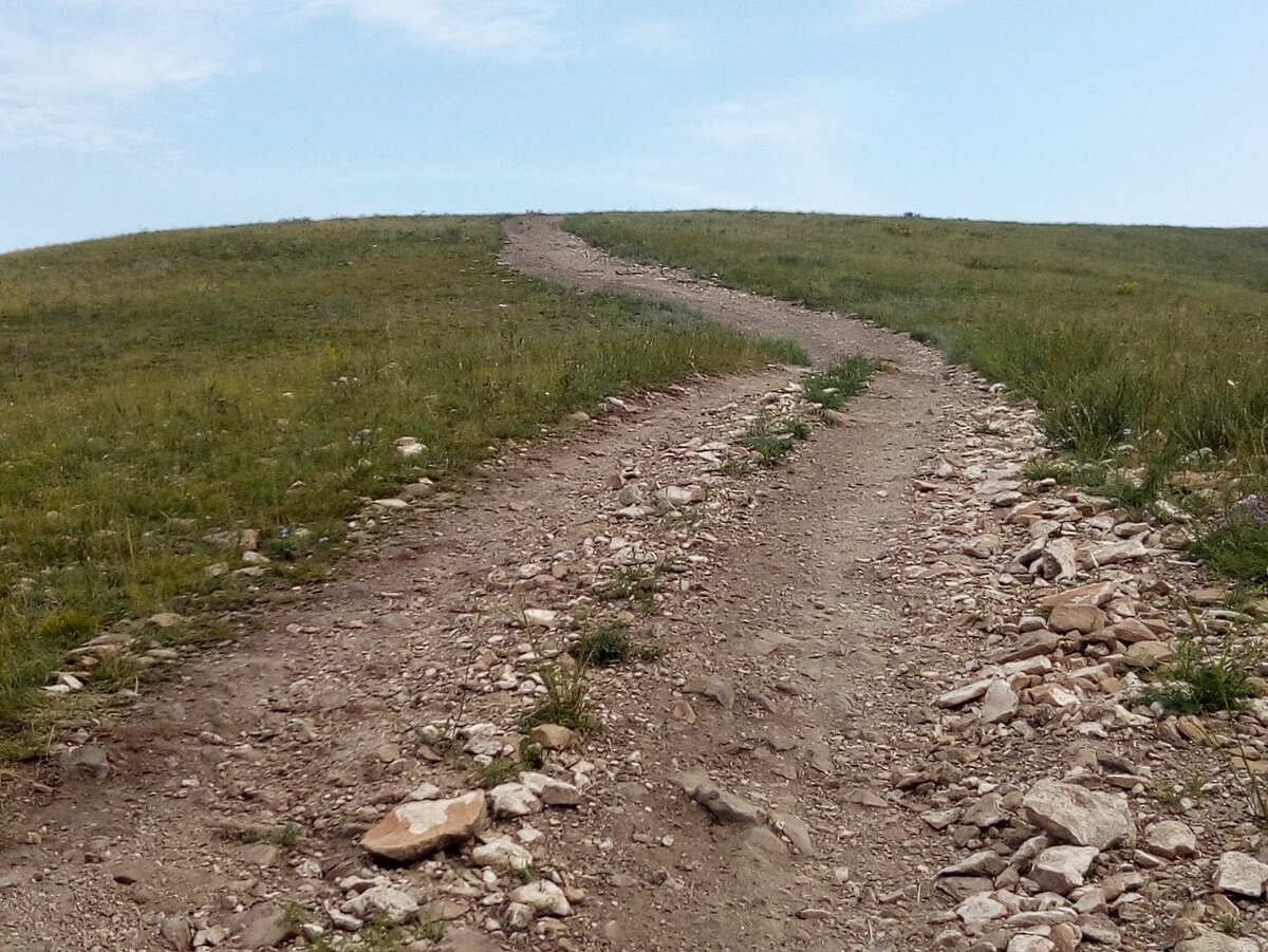 Родные тропы. Тропинками родного края. Пейзаж родного края. Родные тропы. Проселочная дорога поле пшеницы.
