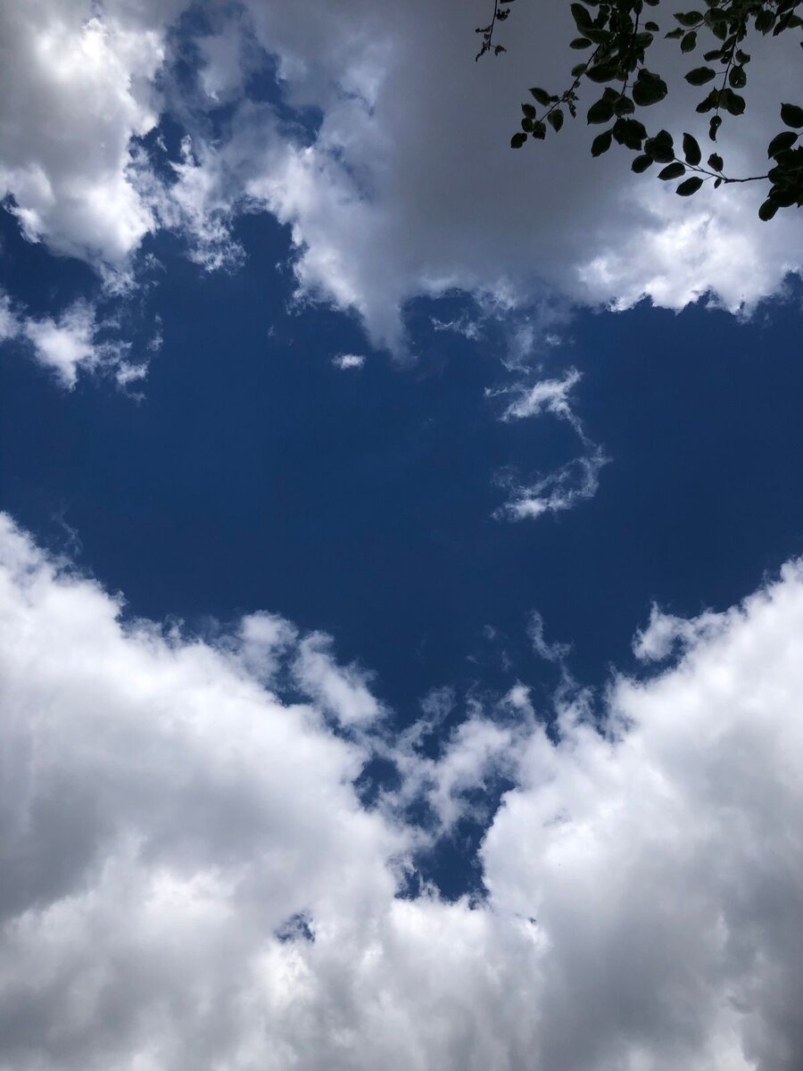 В этот же вечер Надя отправила резюме в ответ на несколько вакансий. Надо было искать работу.