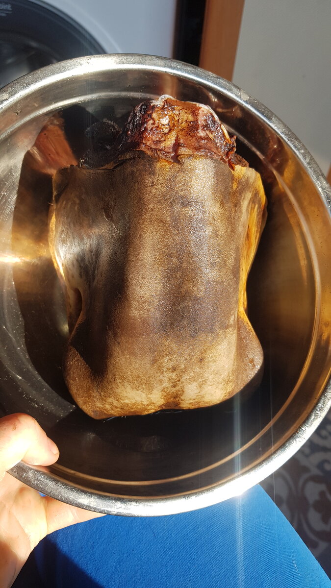 Опаленная губа 