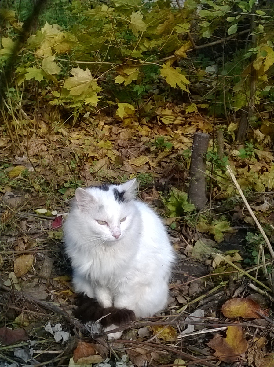 ЛИЧНОЕ ФОТО.