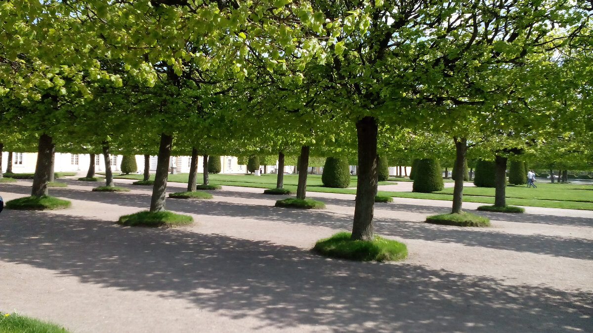 Верхний сад