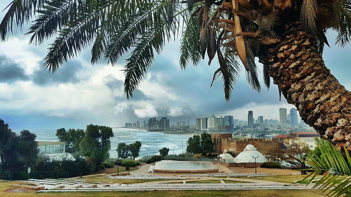 Вид на город со стороны Яффы. Фото автора