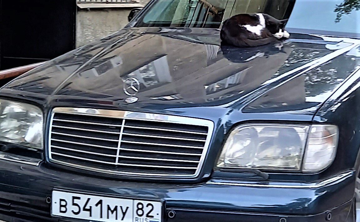 щетки очистителя на фарах авто