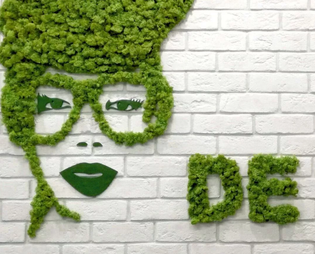 (Все картинки взяты из интернета)