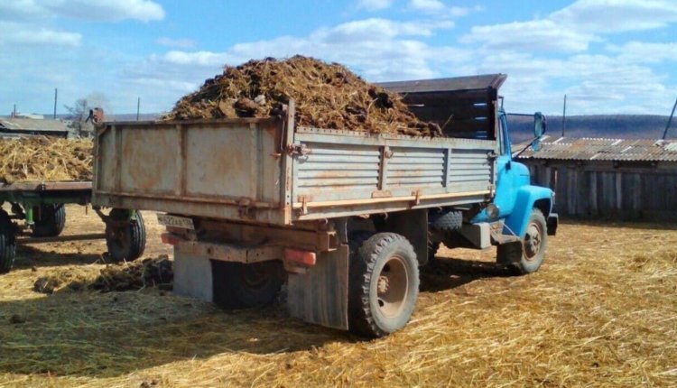 Фото: песок21.рф