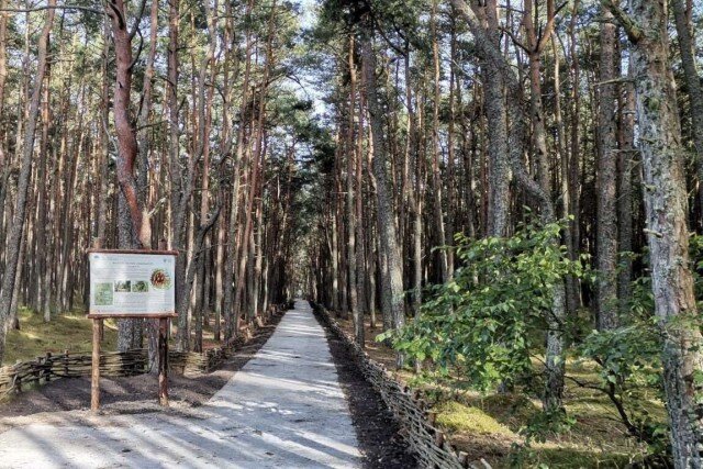   Фото: пресс-служба нацпарка «Куршская коса»