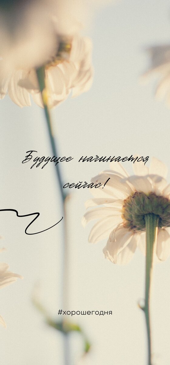 текст для описания  