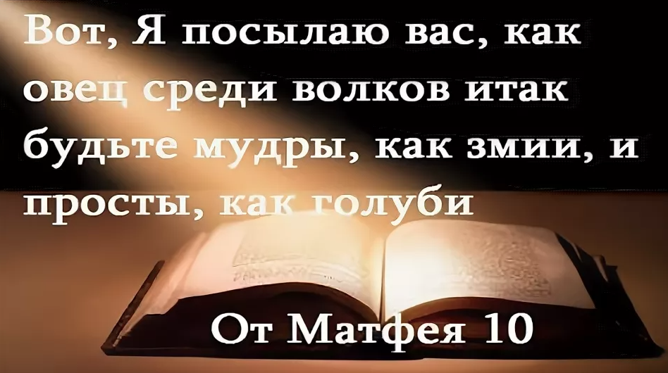 Простой как голубь мудрый как змей. Итак будьте мудры как змии и просты как голуби. Вот я посылаю вас как овец среди Волков. Итак я посылаю вас как овец среди Волков будьте мудры. Будьте мудры как змеи и просты как голуби Библия.