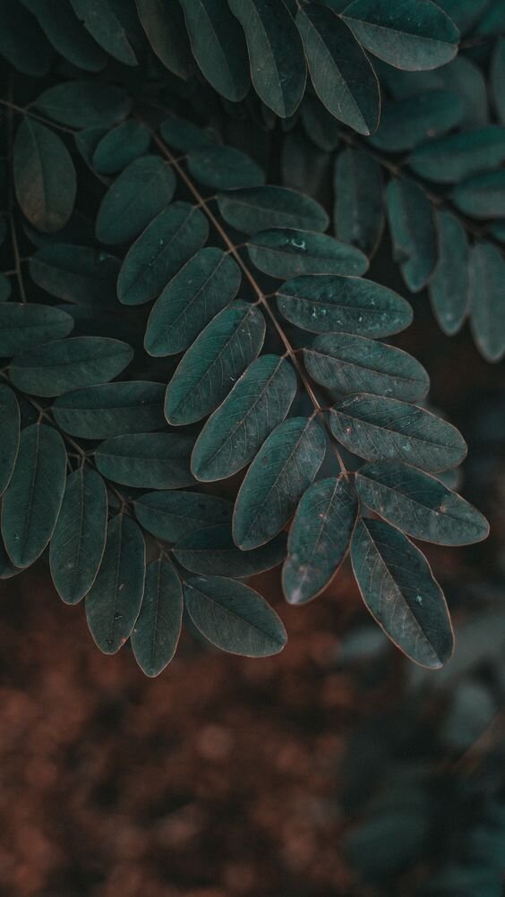 Картинка взята из Пинтереста и находится в открытом доступе.