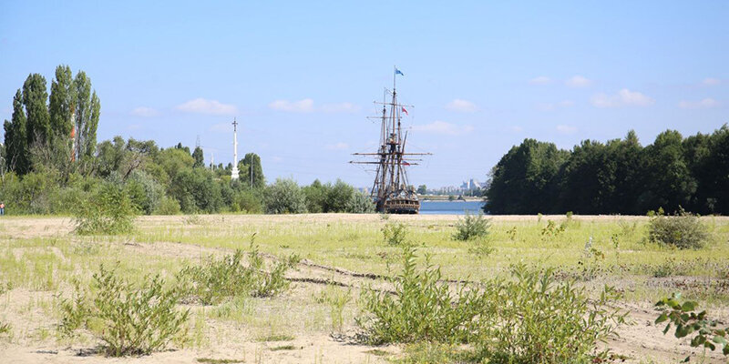 Фото: пресс-служба мэрии Воронежа