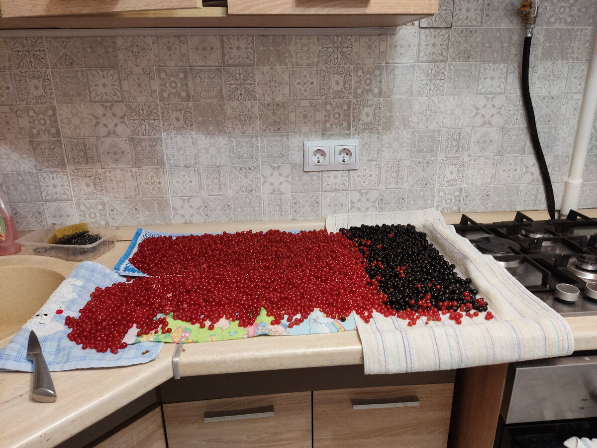 Смородина ушла в морозилку