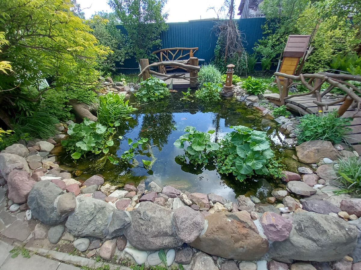 Пруд на даче