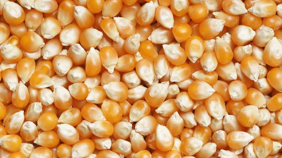    Фото: Unsplash Август Макаров