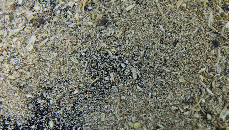     За неделю на Алтае выявили 5170 тонн зерна, зараженного вредителями
