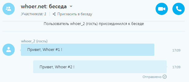 Whoer net. Где находится номер скайпа в учётной записи.