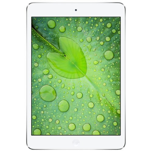 
Apple iPad mini 2 