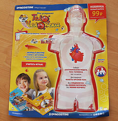 Демокартон огромного размера, Тело человека №1.
