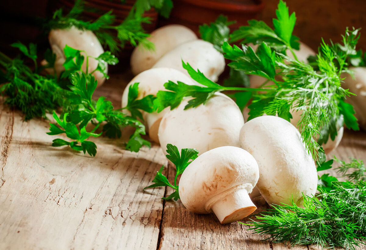  Шампиньоны – самые безопасные грибы, доступные в любое время года. Сбрасывать вес на них легко и вкусно.