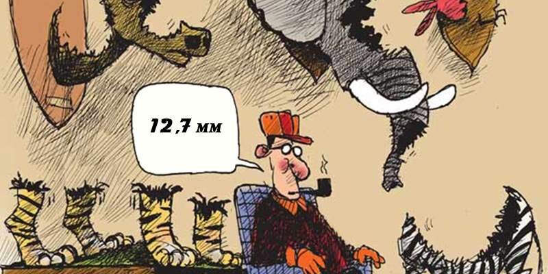 Последствия охоты с калибром 12,7 мм