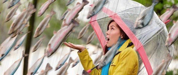 
Необъяснимо, но факт: дождь из рыб, лягушек и червей