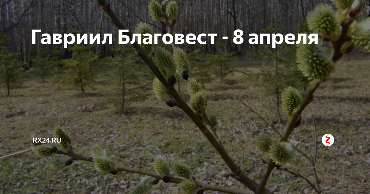 Изменения 8 апреля