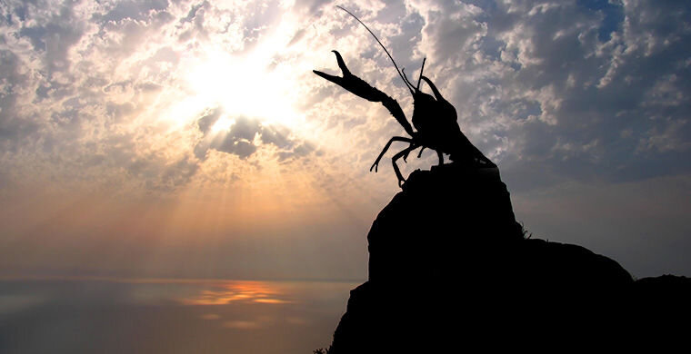 "Когда рак на горе свистнет"