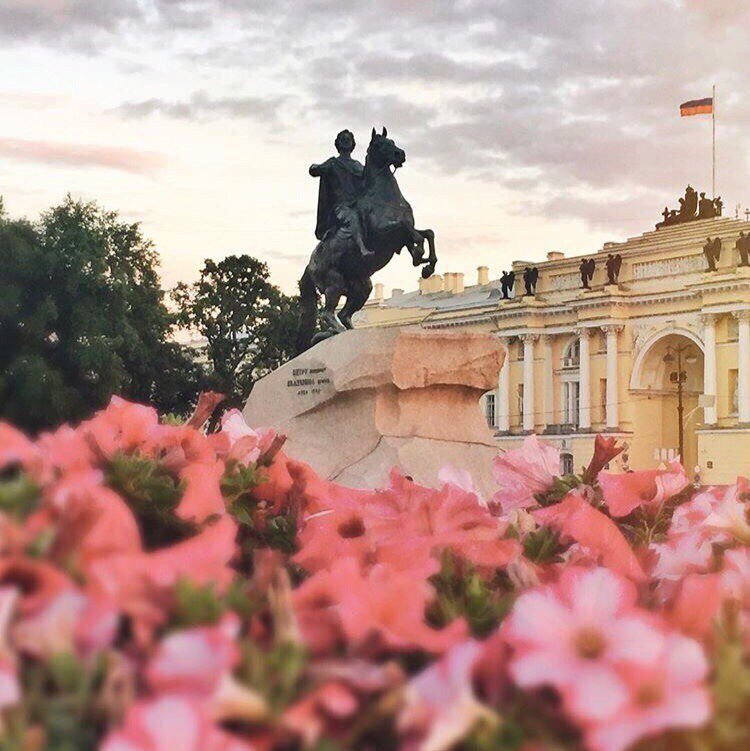 Петербург в цветах