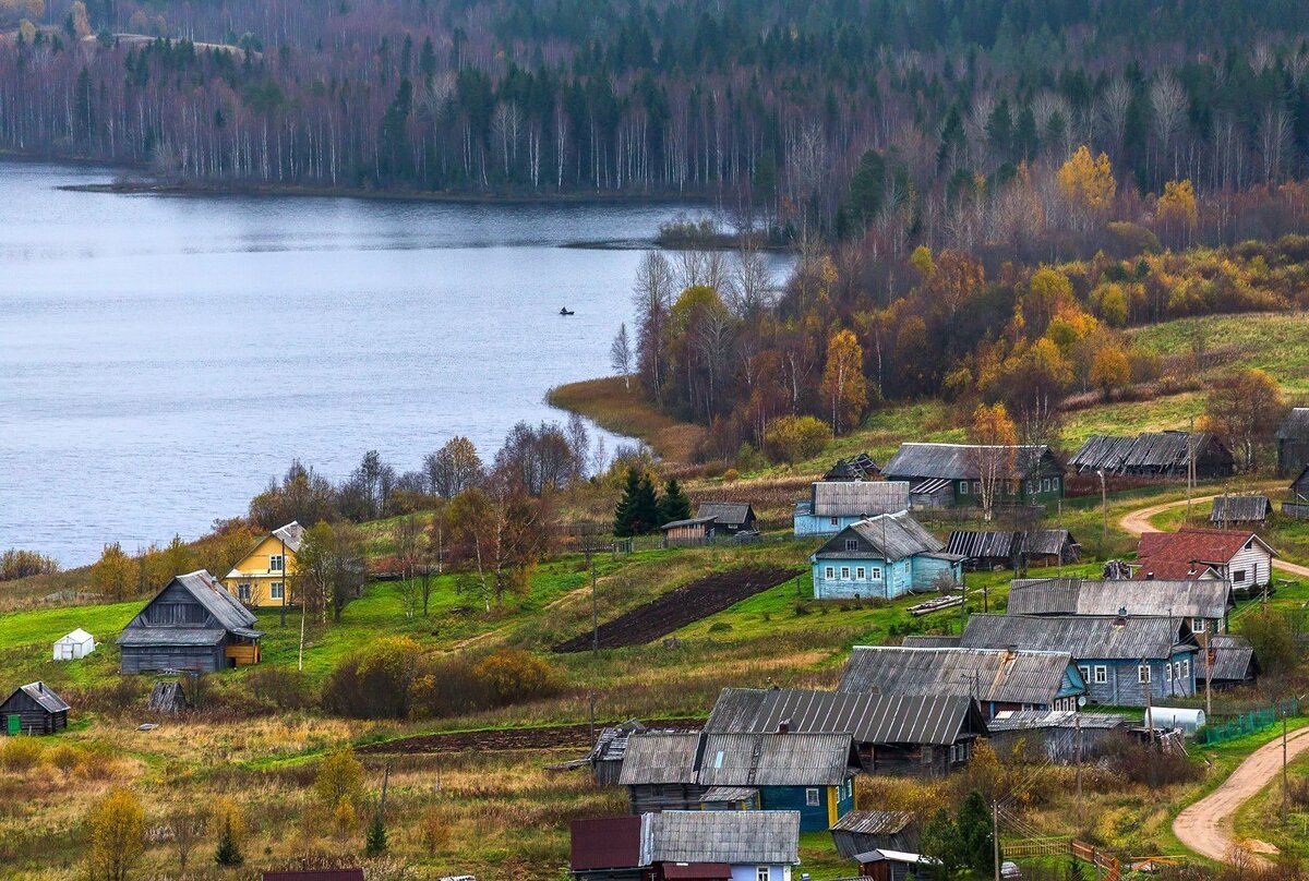 Деревня Ладва Ленинградская область