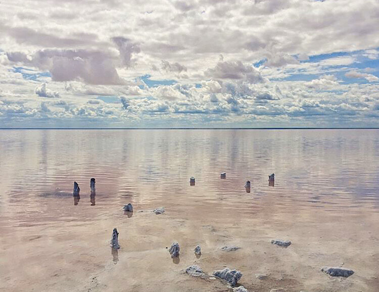 Озеро эльтон рисунок. Национальный парк Wattenmeer в Германии туристы. Das Wattenmeer расположение.