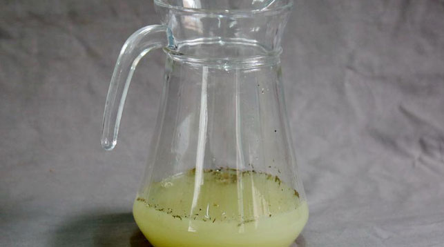 Фото из открытых источников.