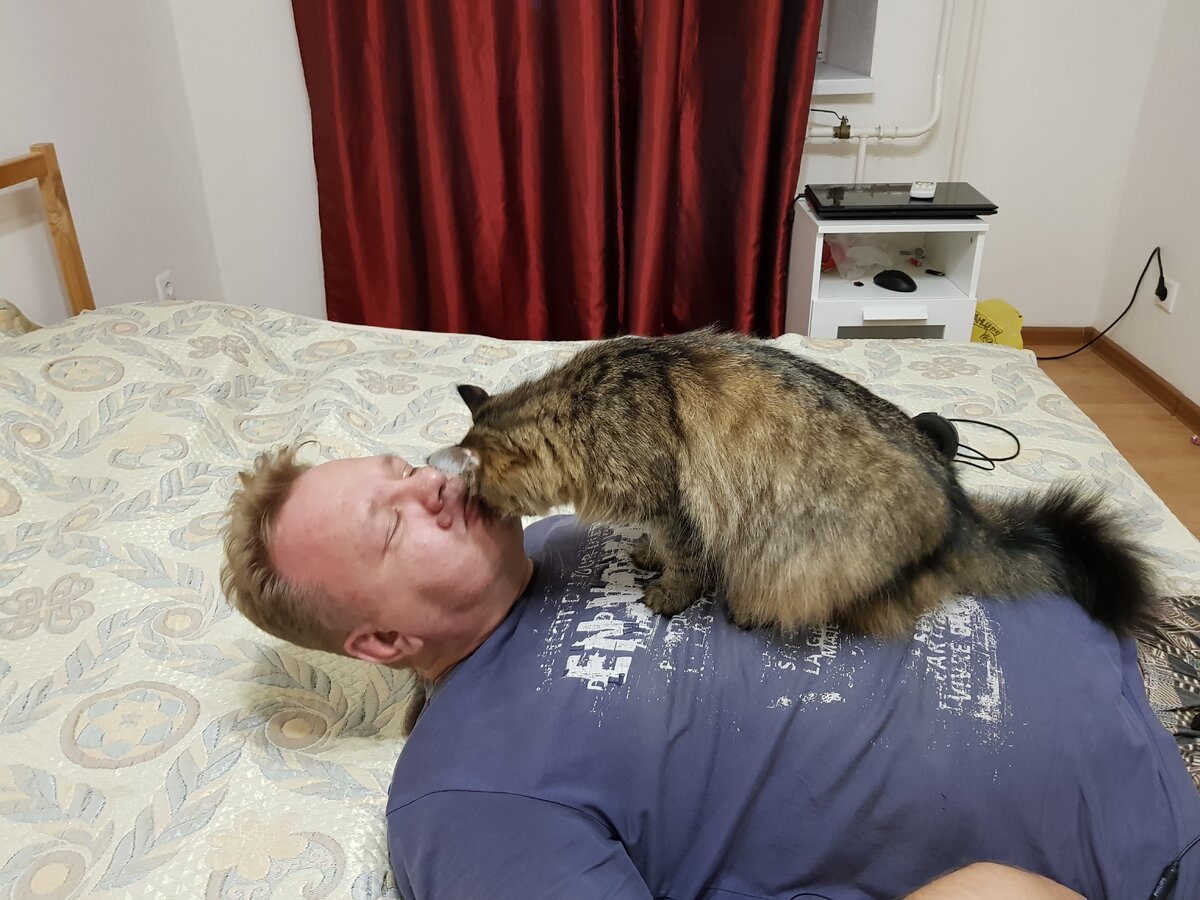 Любовь-морковь