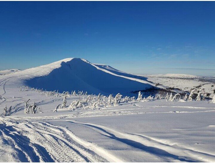 Фото из соцсетей