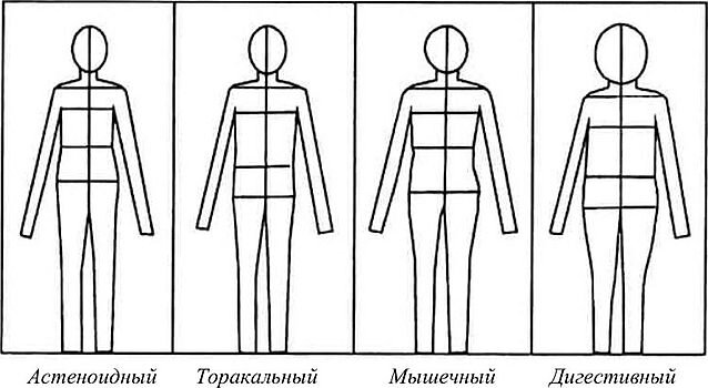 Источник: Суботялов М.А. Морфофункциональные и психофизиологические особенности подростков и юношей различных конституциональных типов: дис. … канд. биол. наук. – Томск, 2002. – 162 с. 