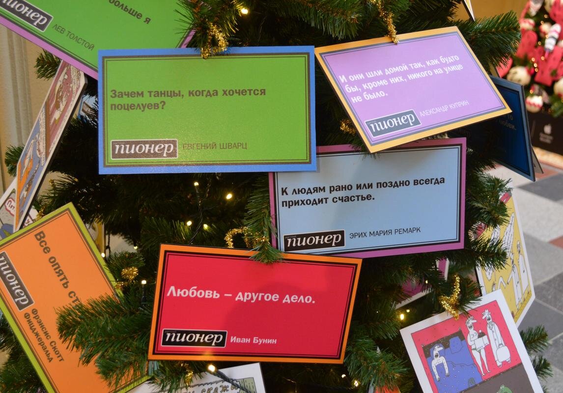 Увидел я необыкновенную елку. Ель необыкновенная набор для выращивания. Необычные елки. Увидел я необыкновенную ёлку. Увидел я необыкновенную ёлку.