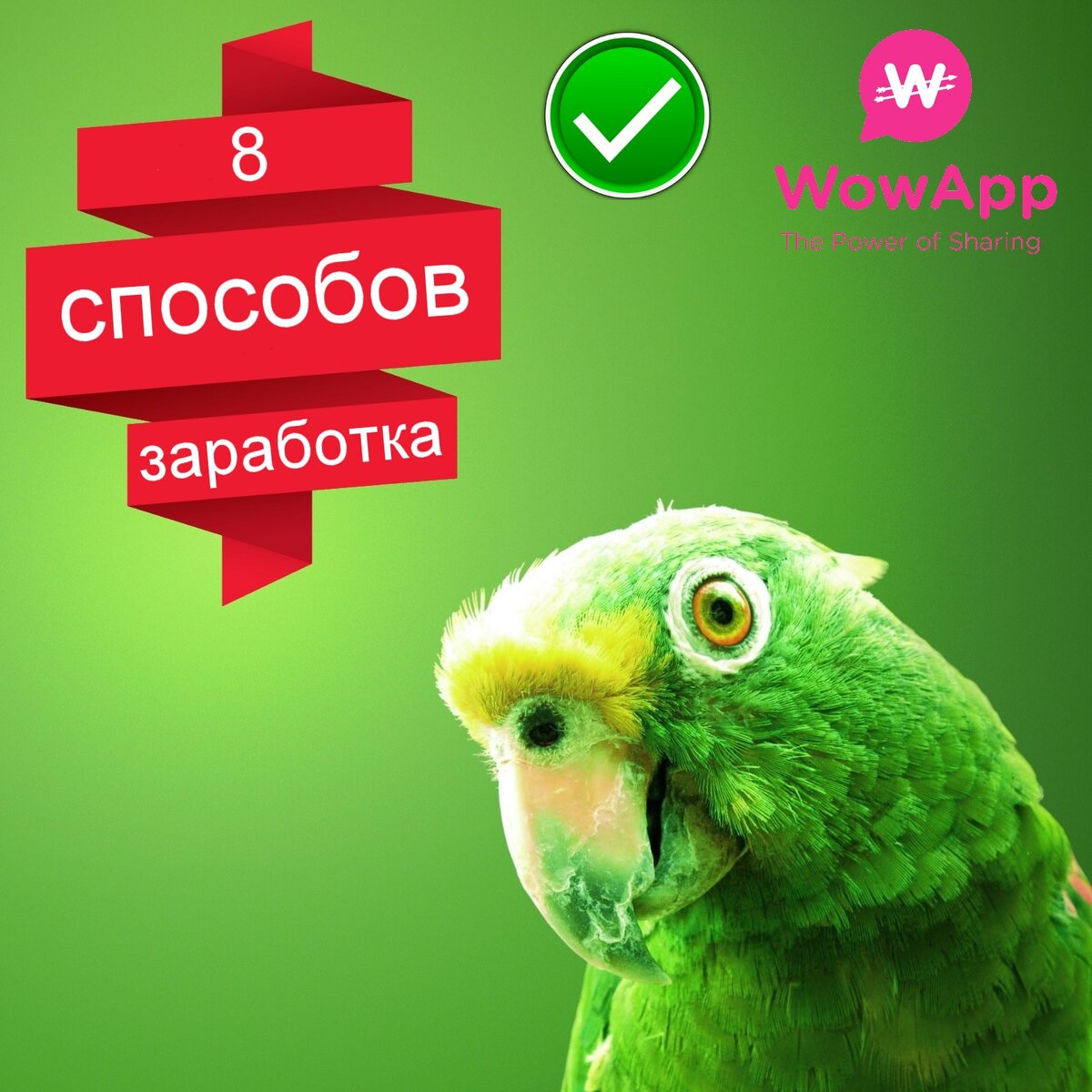 8 способов заработка в WowApp