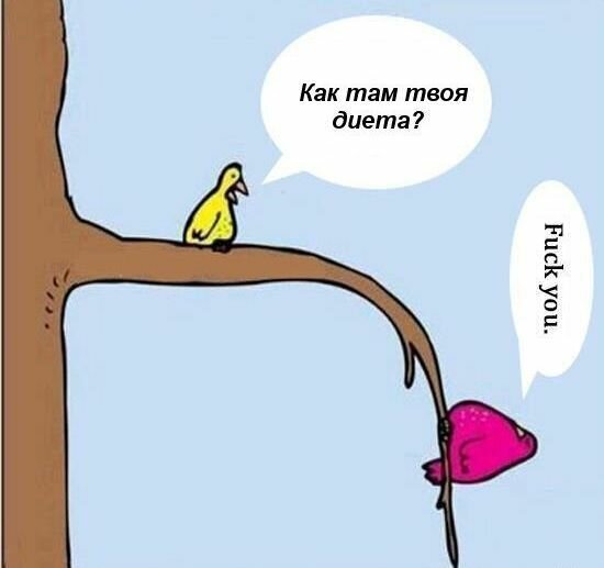 Как 95% людей отвечают на вопрос “ Что с диетой?” Опрос британских ученых март-февраль 2015 года.