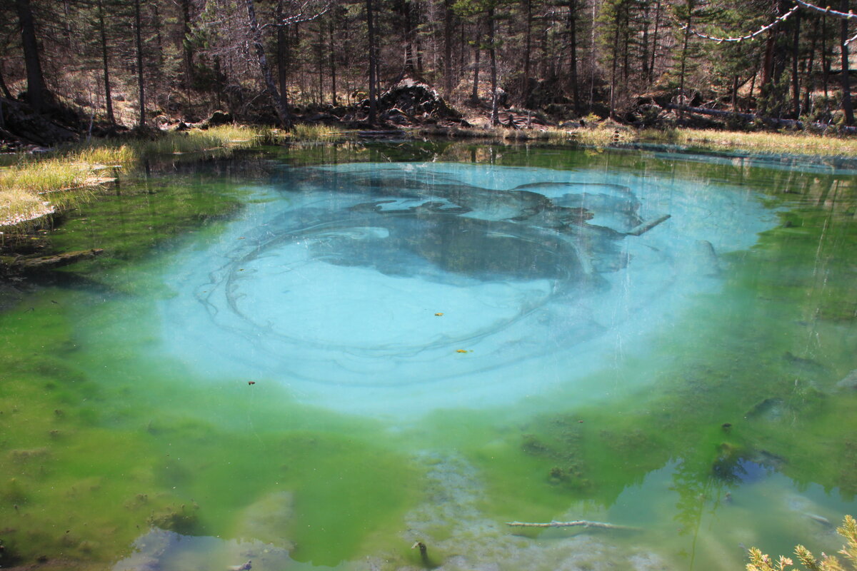 Горный Алтай