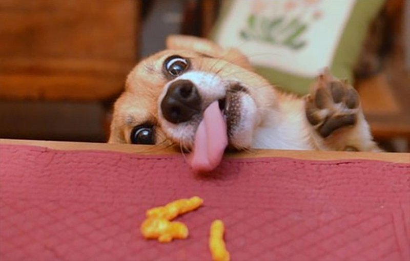 Ну почти, еще чуть-чуть...