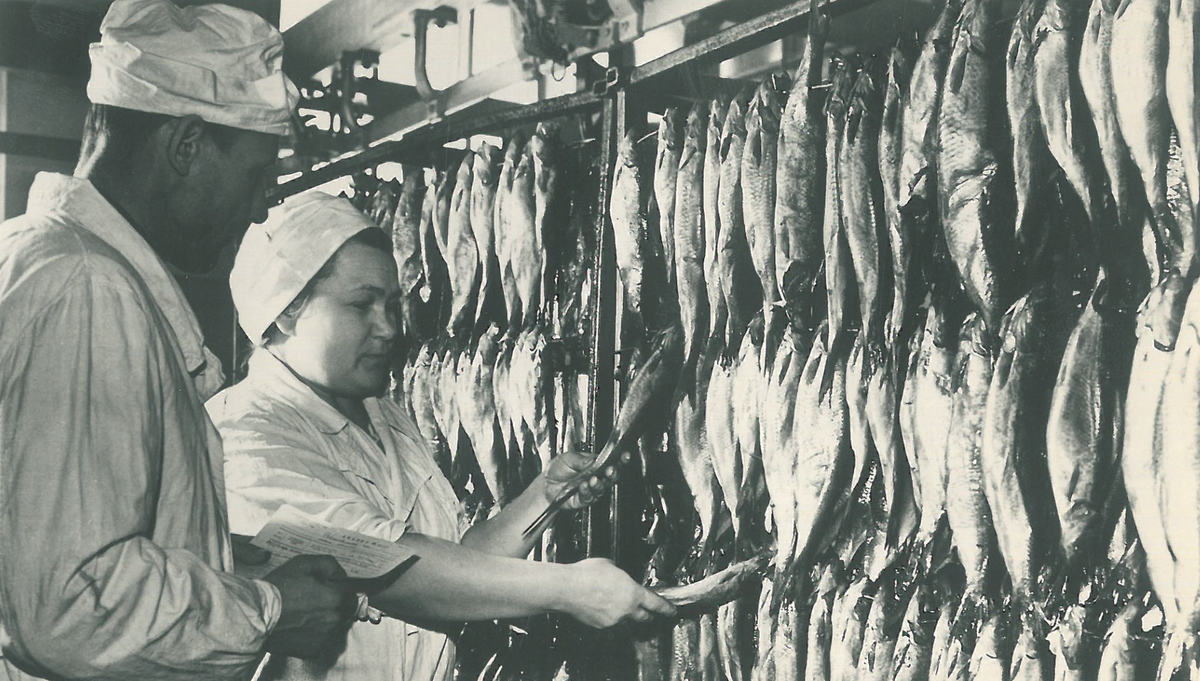 сельское лесное хозяйство охота рыболовство и рыбоводство