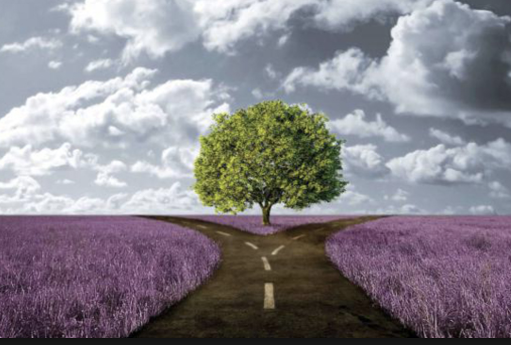 На распутье