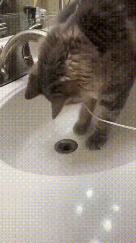 ну, кто, если не я?