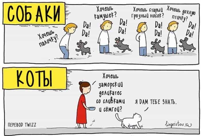 Владельцы котов и собак мем 